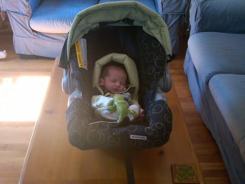 Img00175-20100829-1358