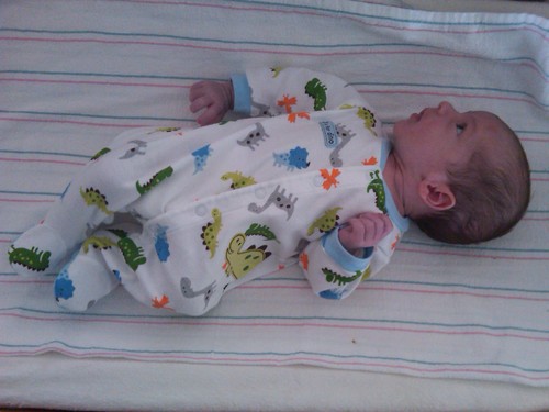 Img00187-20100911-0840