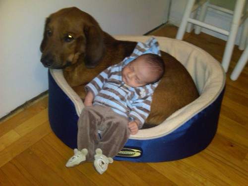 Img00192-20100914-2038