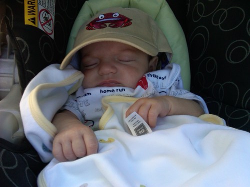 Img00213-20101010-1402