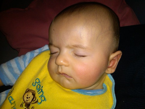 Img00242-20101220-1826